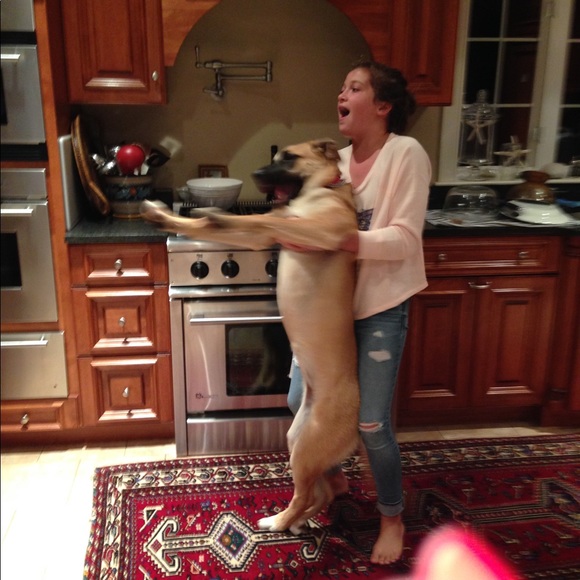 Meet your Posher, Shelley - Picture 16 of 16